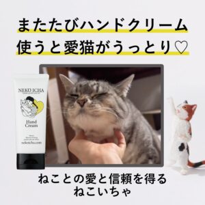 トップ マタタビ ハンド クリーム