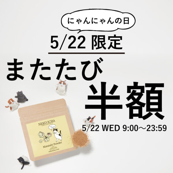 にゃんにゃんの日限定！またたびパウダー半額キャンペーン開催♡