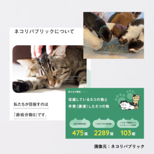 ねこいちゃ基金支援先ネコリパブリックさま