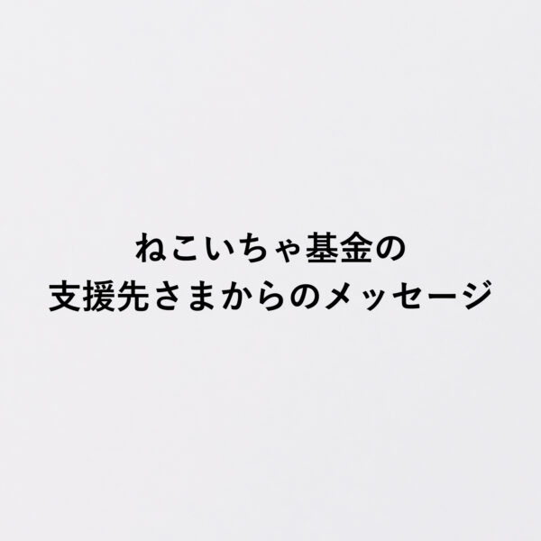 【ねこいちゃ基金】支援さまからのメッセージ