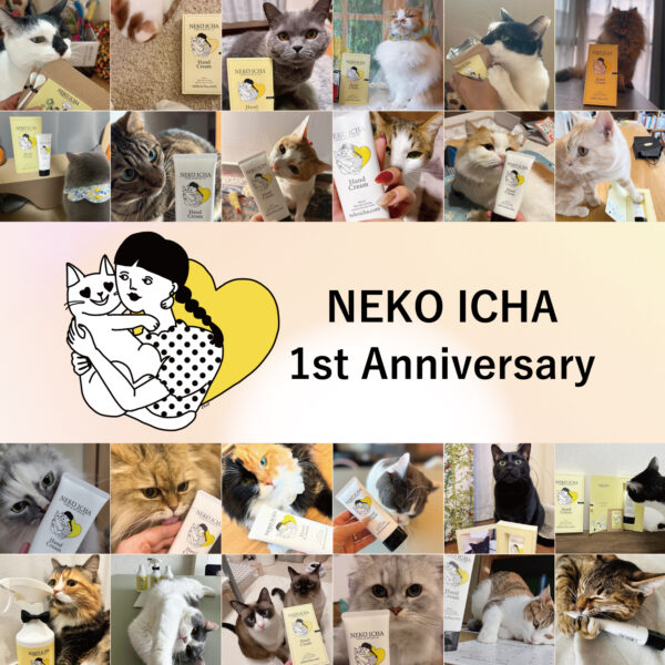 ねこいちゃの誕生から１周年を迎えることができました♡