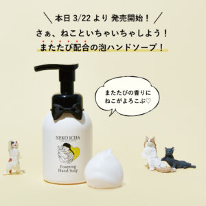 泡ハンドソープ販売日