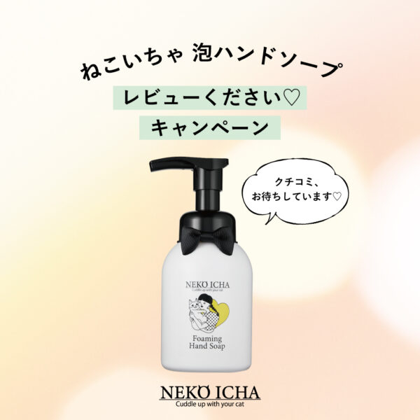 ねこいちゃ製品詰め合わせセットがもらえる?! 愛猫さんがモデルデビュー?! 泡ハンドソープのレビューを大募集♡