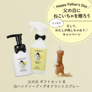 父の日ギフトセットB